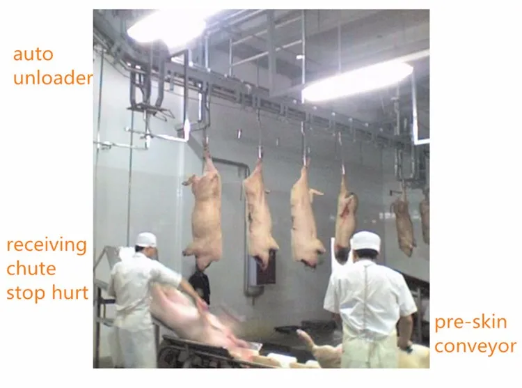 Pig slaughterhouse skin removal machine is used in pig slaughtering line