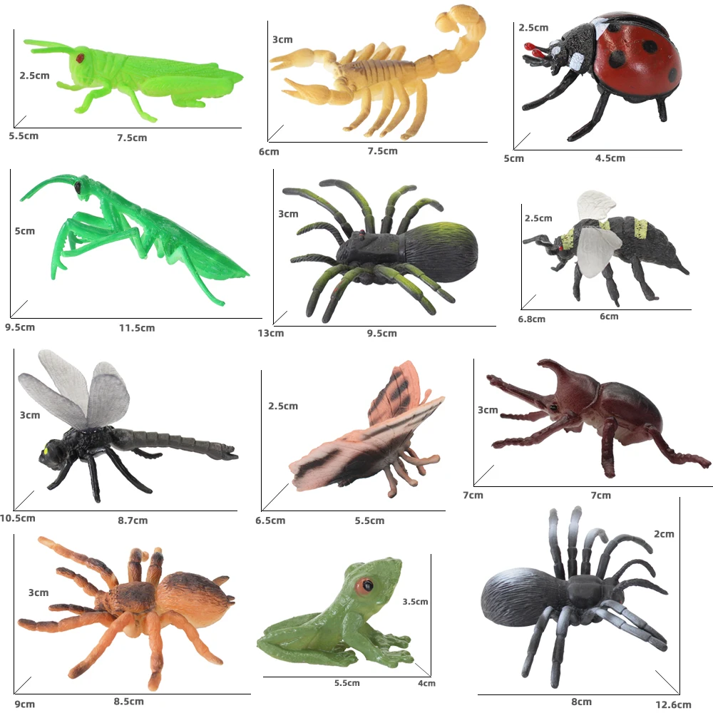 vívido animal educativo modelo plástico natural mundo insecto