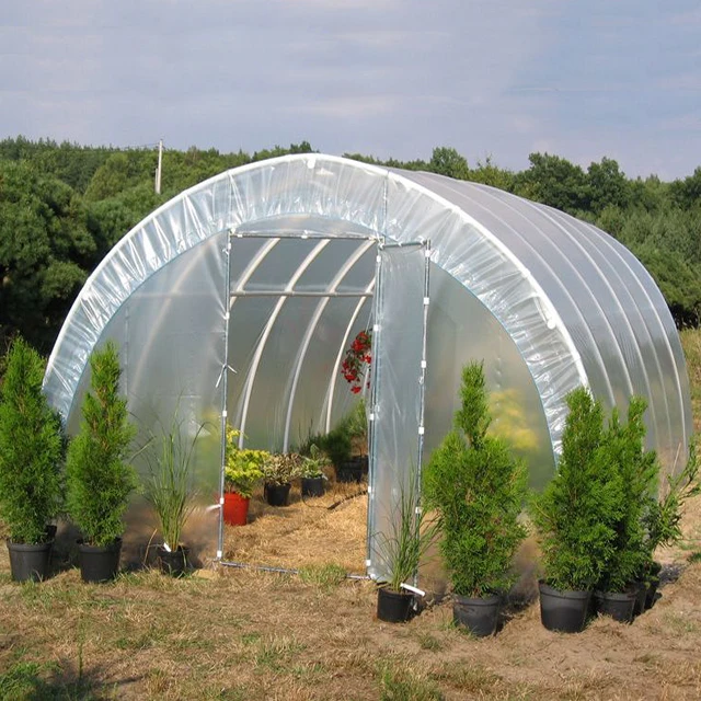 Single Span Tunnel Greenhouse for Tomato and Vegetable