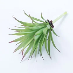 Высококачественные Искусственные суккуленты на ощупь искусственные пустынные