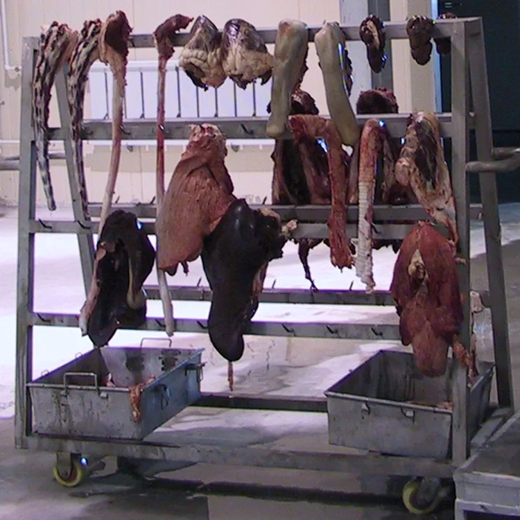 Pig red viscera transport trolley for slaughterhouse abattoir accessories