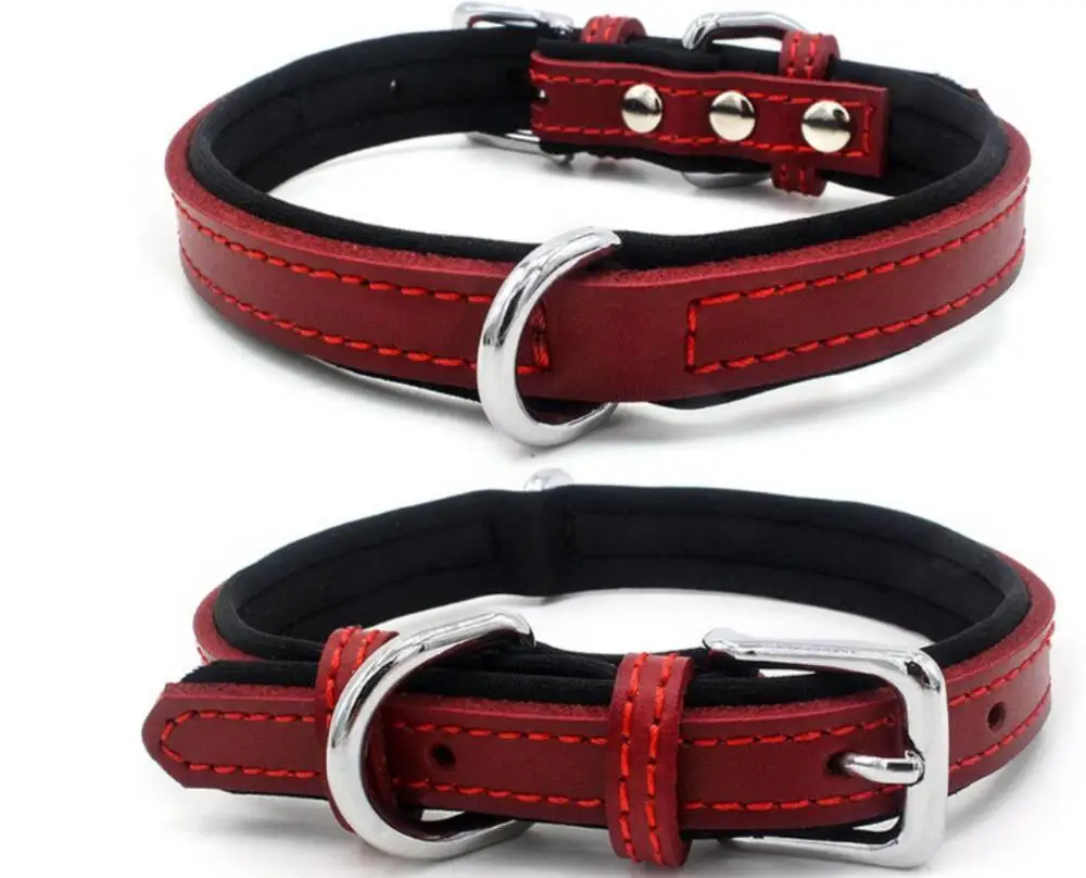 soft leather dog collars