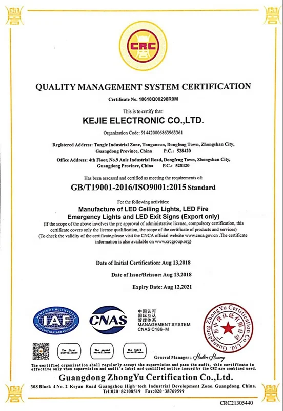 IP65 12 вт/16 вт 2D датчик движения светодиодная перегородка аварийный потолочный светильник