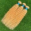 pacchetti dw