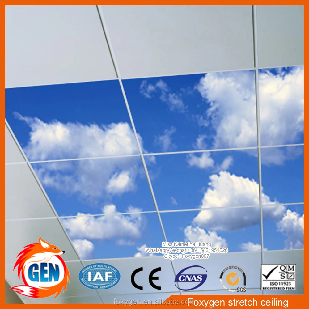 Nature Pop False Pvc Stretch Ceiling Design for Interior Decoration