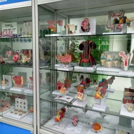Shanghai Ebsa International Trading Co., Ltd. 2