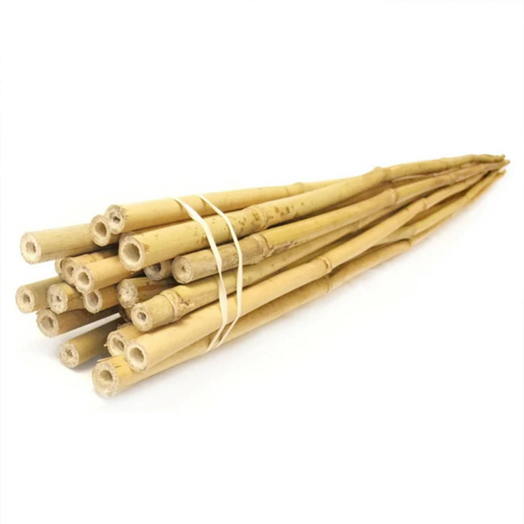 Treated Stake Tonkin Bamboo Poles / white Bamboo / moso / agriculture Pole / bamboo