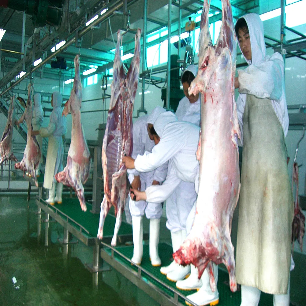 Turnkey Project Sheep Slaughter Line Halal Slaughter Machine Goat and Lamb Slaughterhouse Equipment