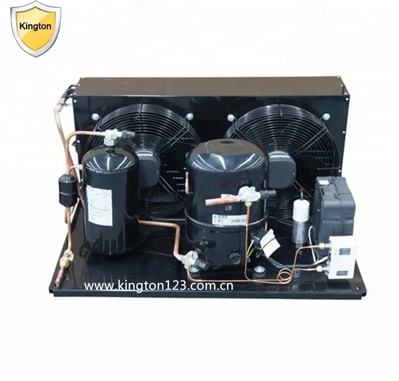 5hp Tecumseh Compressor Condensing Unit Special for Rearing Pond TAG4561