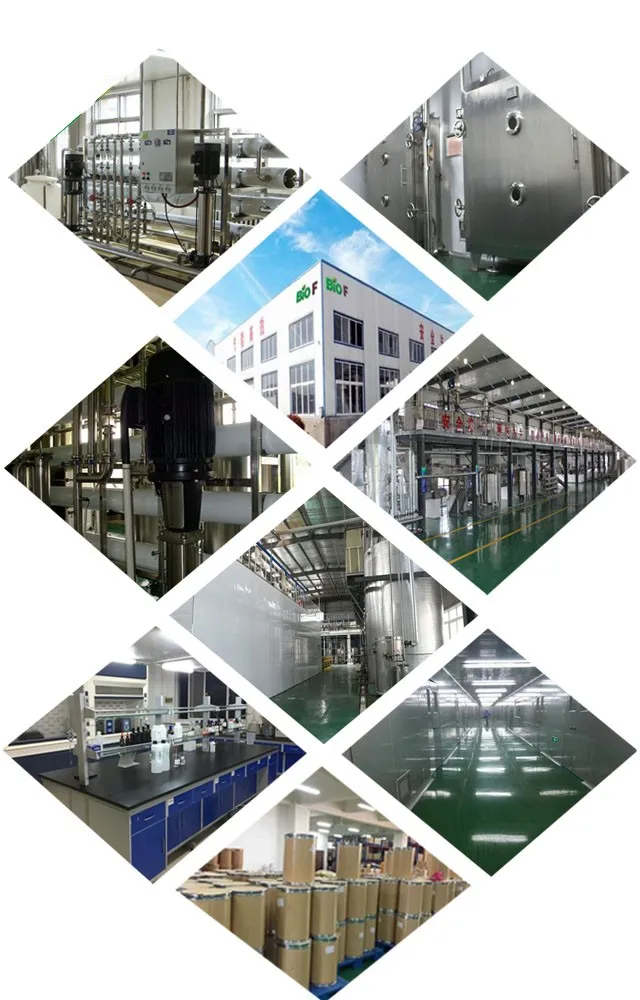 Καλλυντική ποιότητα Aniracetam 1- ((4-Methoxybenzoyl) Λευκή χρώση σκόνη 4