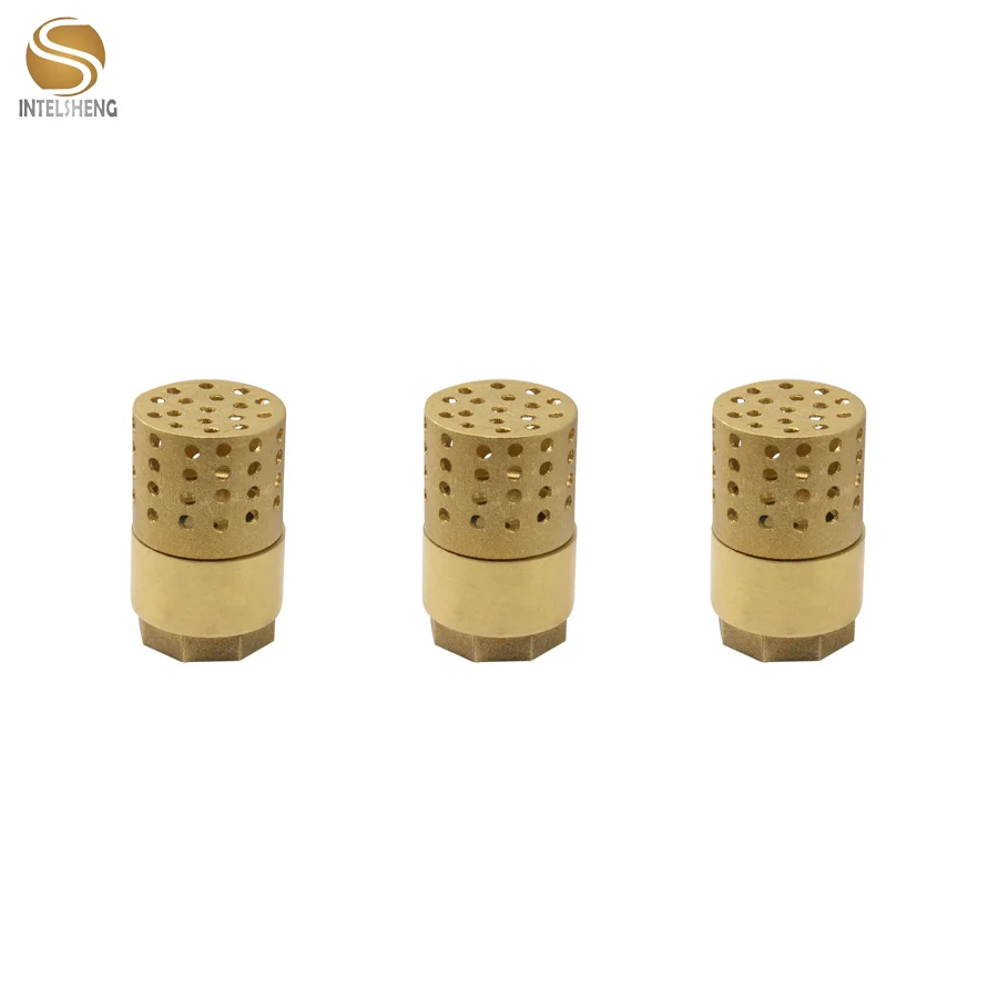 Brass Non Return Valve 2 Inch Brass Spring Check Valve Non Return Valve for Water Pump Yellow