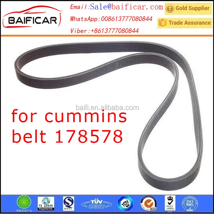 1 PCS New 3094884 Cummins Fan Belt