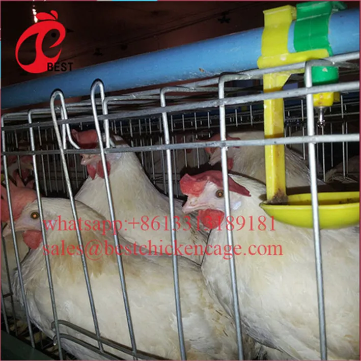 Клетка для разведения птиц курятника высокого качества по самой низкой цене, курятник 200