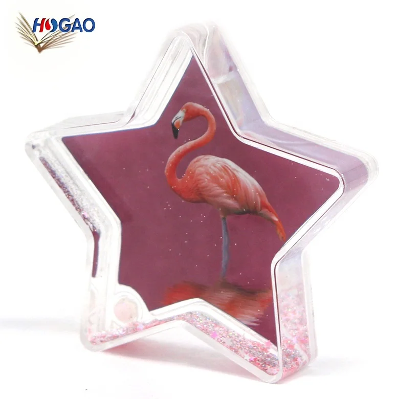 Custom Theme Star Shape Acrylic Empty Water Globe Home Decor Novelty Gifts Plastic Snow Globe With Photo Insert