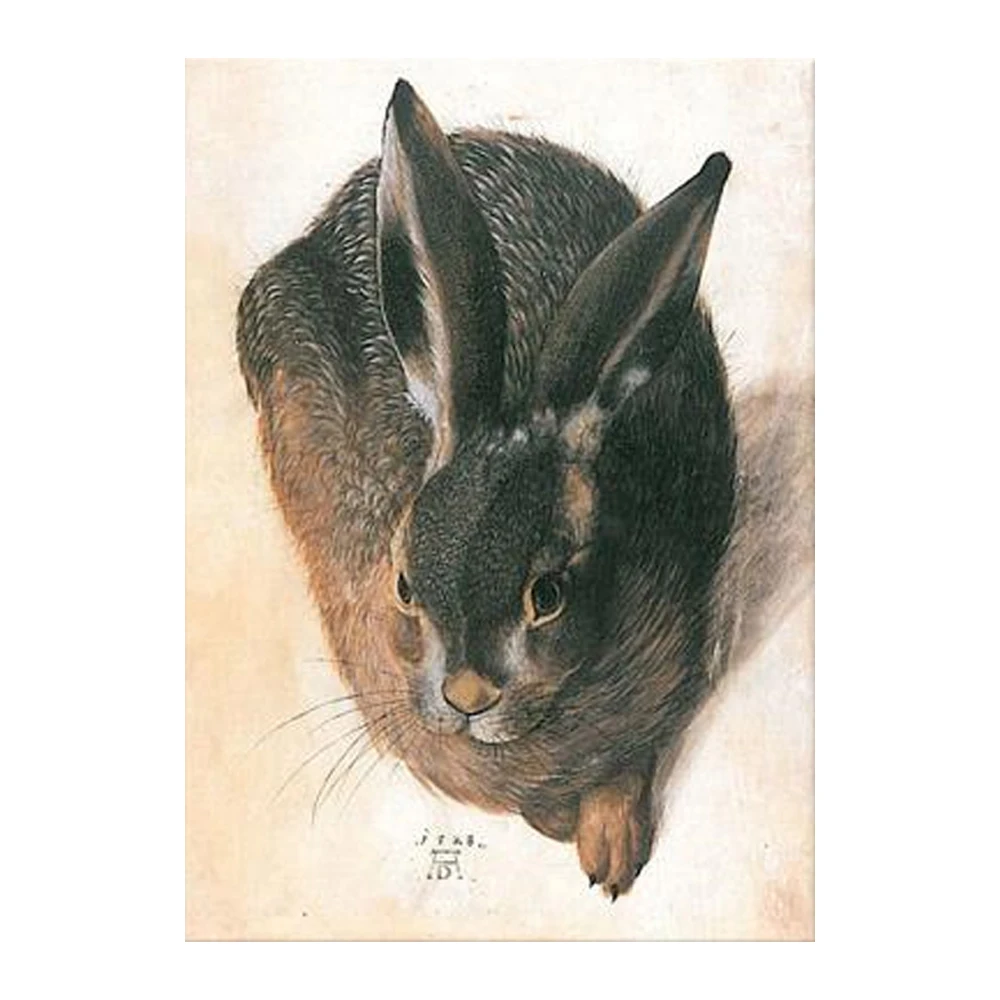 Кролик Дюрера картина в рамке