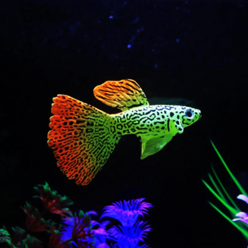 Plastik Schwimmen Faux Fake Gold Fish Aquarium Tank Dekor, 56% OFF