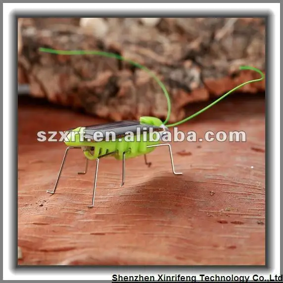 Новый шаблон солнечный кузнечик/дешевые игрушки/насекомые игрушки