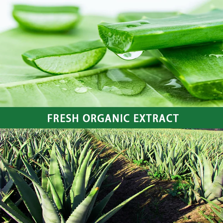 Hongda Factory Supply Aloe Vera Extract Powder Aloe Vera Extract Aloin  Powder