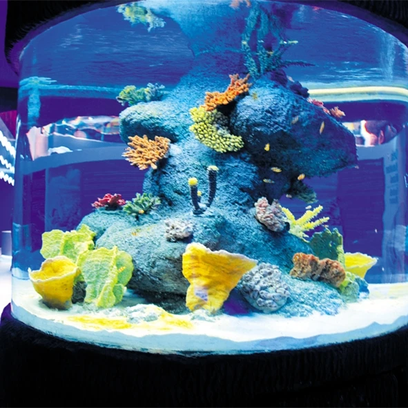 Xc-acrylic Tank Eco-Friendly Aquarium for Family Use