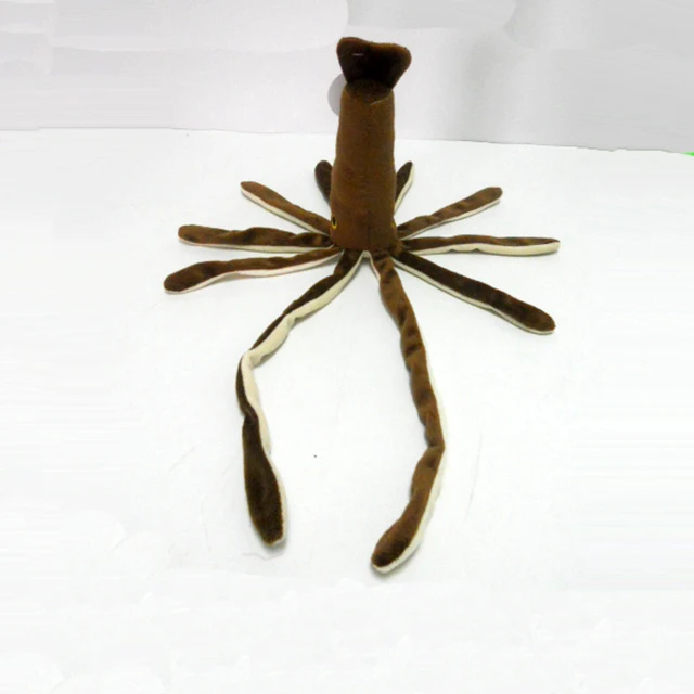 squid bath toy