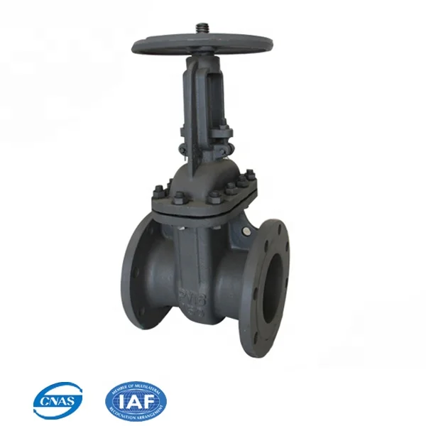 russian standard dn50 dn200 dn300 cast iron motorized brass seal gate valve