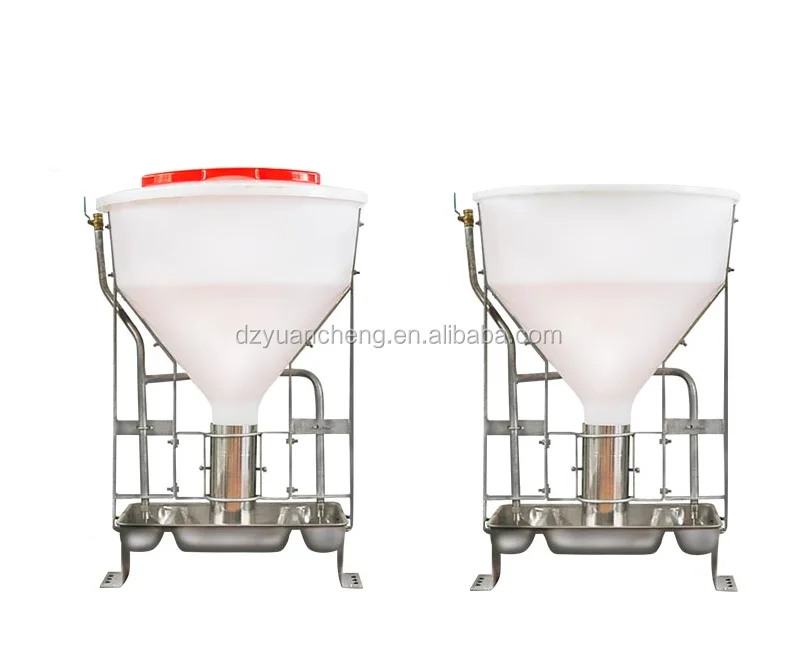 Automatic Dry Wet Pig Feeder Pig Feeding Through Automatic Pig Feeder 80kg 100kg 120kg Trough