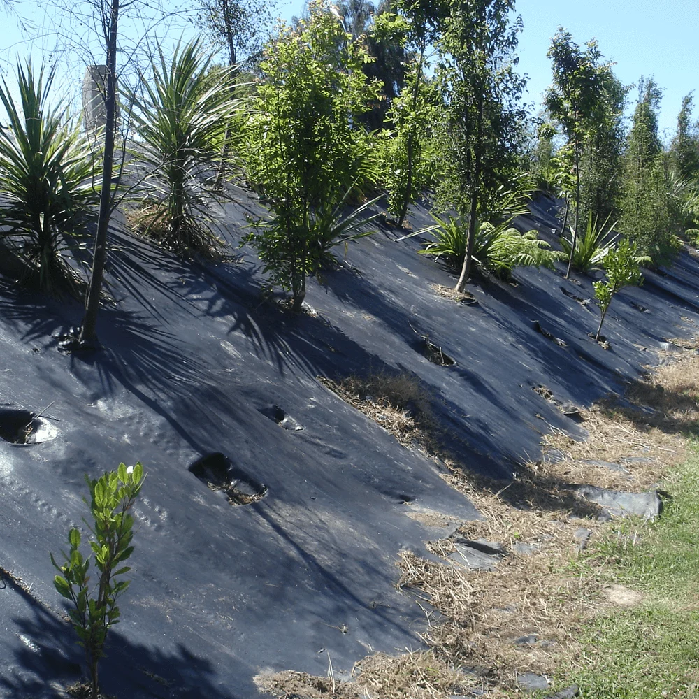Tree Protector Weed Mat Agriculture Plastic Net Anti Weed Mat Weed Barrier Fabric Black Dust Control Ground Cover