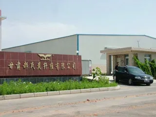 Haoshi Carbon Fiber Co., Ltd. Gansu