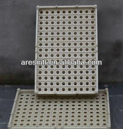 
 Пластиковый лоток для перепелов  