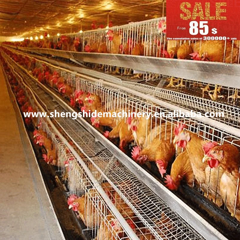 Fully Automatic a Frame Cheap Price Chicken Layer Cage Battery Cage Laying Hens