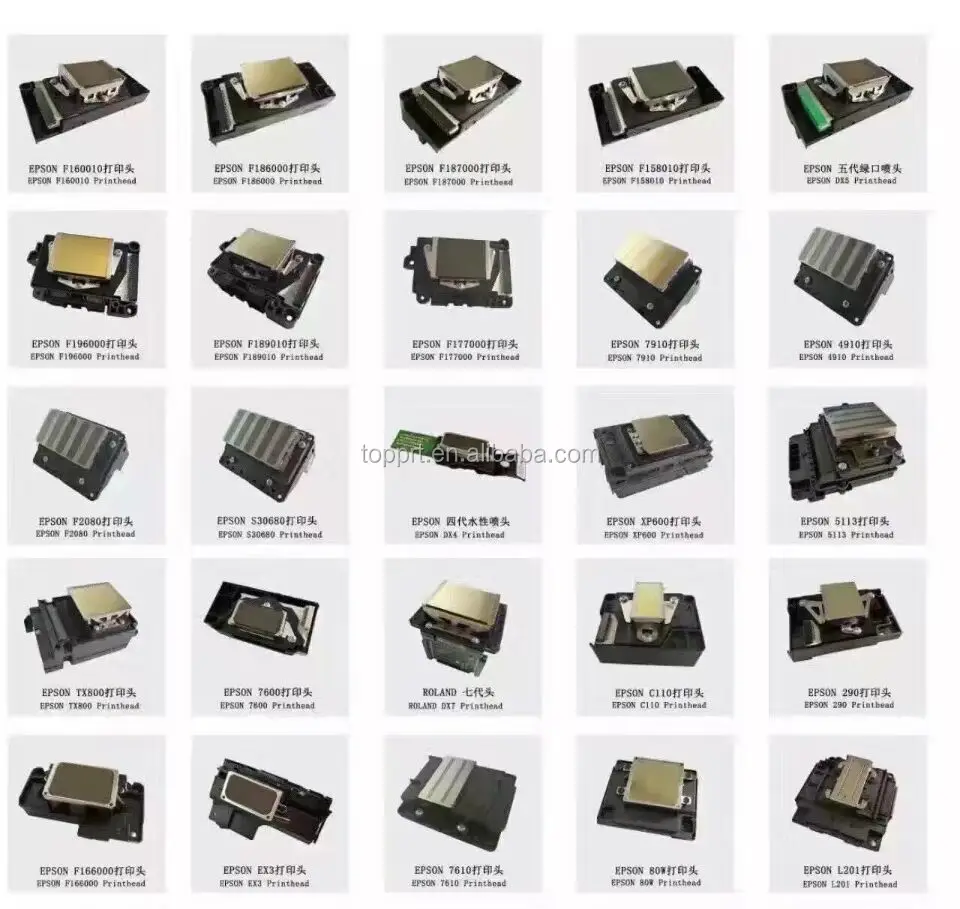 epson 4880 print head