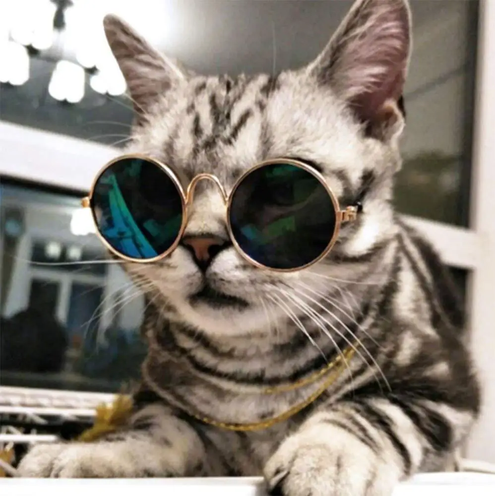 かわいい面白いペット猫サングラスクラシックレトロサーキュラーメタルプリンスサングラス猫小型犬ファッションコスチューム Buy ペットサングラス クラシック猫サングラス 金属ファッション猫 Sunglassses Product On Alibaba Com