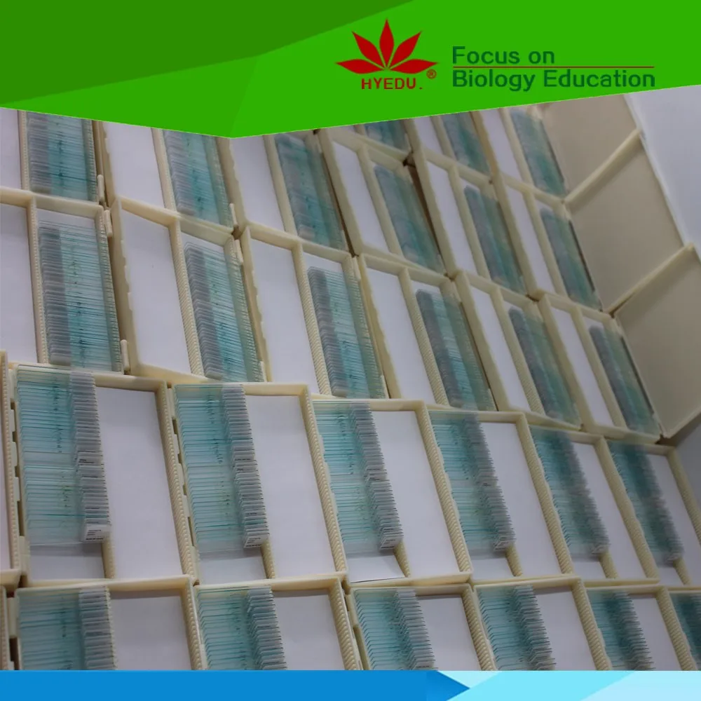 Индивидуальные недорогие слайды rotifer w m для приготовления микроскопа