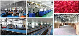 Yiwu Chenyue E-Commerce Firm 1