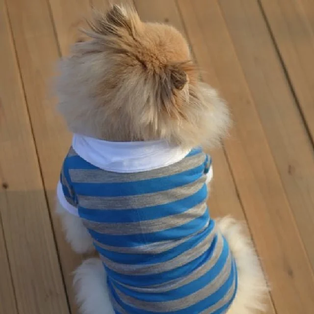 pet polo shopping