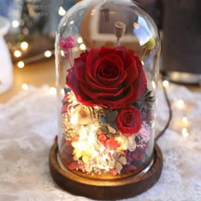 2018 Beauty And The Beast Rose Preserved Flowers In Glass Dome