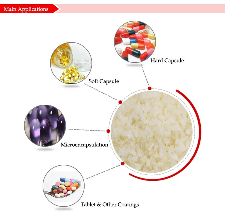 Gelatin Softgel Gelatina Sin Sabor 250 Bloom Wholesale Price Halal
