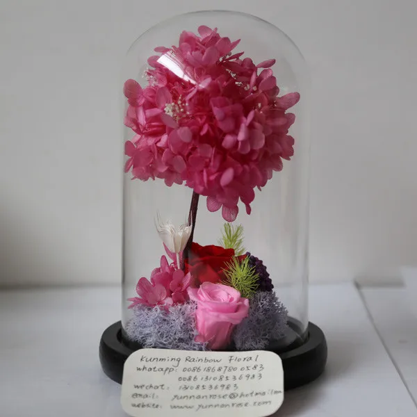 Exported To Singapore Enchanted Rose Beauty And The Beast For Wedding Bouquet Buy Preserved Rose Head Flower Wholesale Preserved Roses Cheapest Wholesale Preserved Roses Flowers Product On Alibaba Com