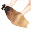 Ombre 1b/33/27 st