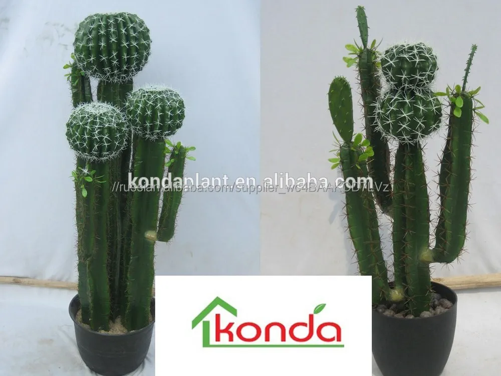 Открытый Кактусов/Искусственный Кактус/Пластиковые Мини-Кактус