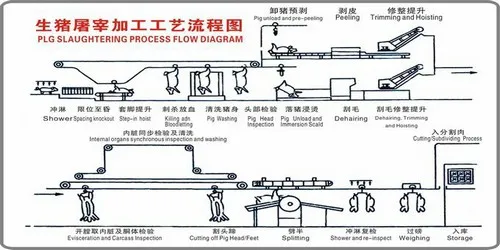 Special pig slaughtering production line with bone removal and cutting machine for pig slaughtering and slaughterhouse