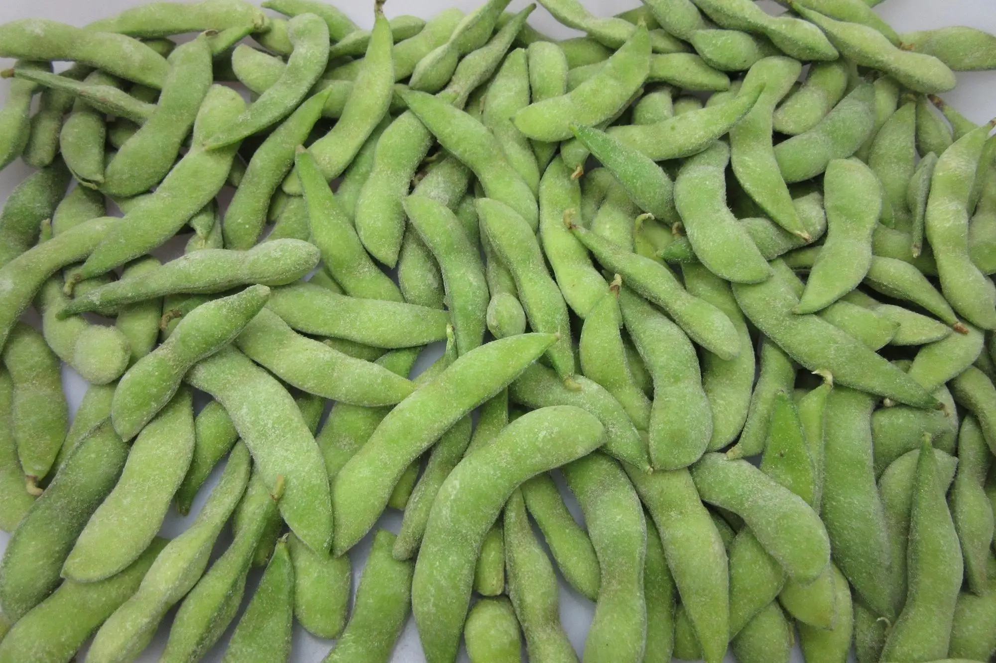 Iqf Edamame Pods Frozen Edamame Beans Buy Frozen Green Soybeans