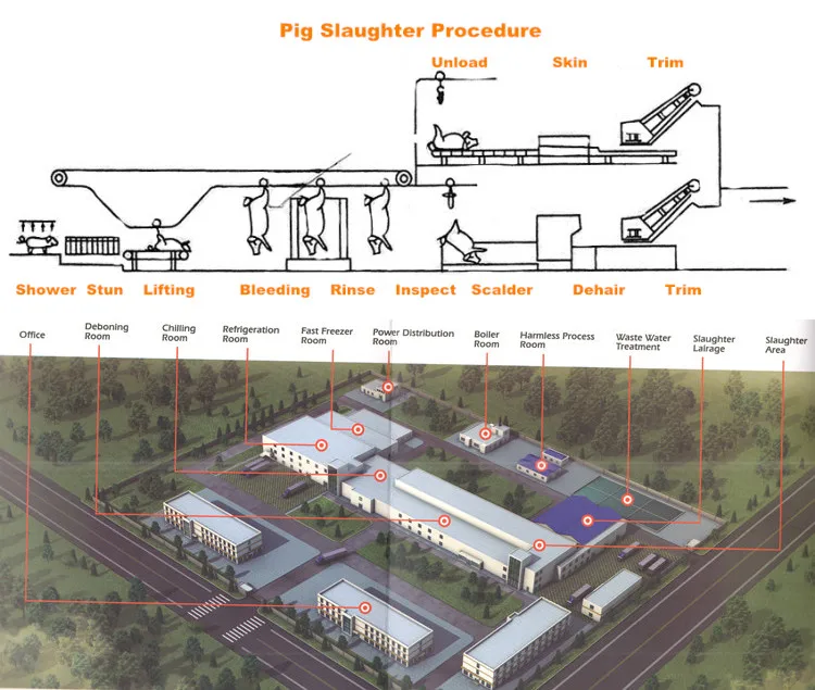 Pig slaughterhouse turnkey project pork processing and slaughtering equipment