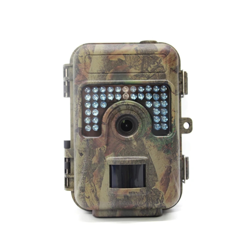 wildlife capture camera