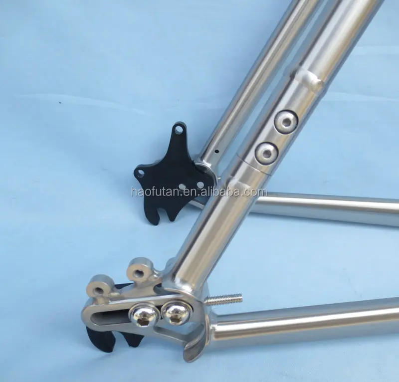 titanium belt drive bike