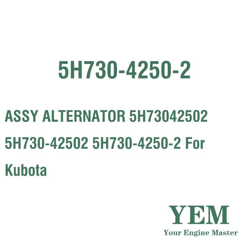ASSY ALTERNATOR 5H73042502 5H730-42502 5H730-4250-2 for Kubota