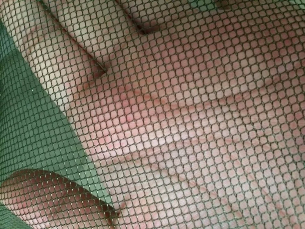 6- mesh size
