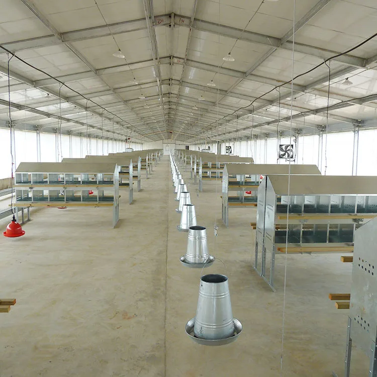 Steel Structure Building Chicken Shed Poultry Farm Mobile Chicken House