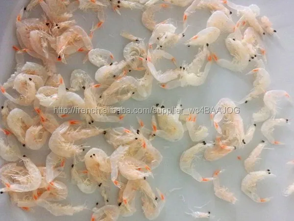Secs D Eau Douce Bebe Crevettes A Vendre Buy Seche Bebe Crevette Product On Alibaba Com