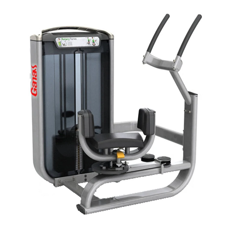 Technogym Rotary Torso